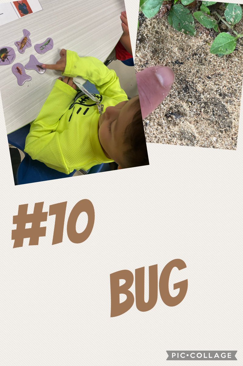 Mrs_Monica_KECS's tweet photo. 10th on our scavenger hunt we talked and found small BUGS π! #FallColorFunDay @dunbar106 @MrsFloyd0419 @KinkeadeECS https://t.co/WnNuxqy76w