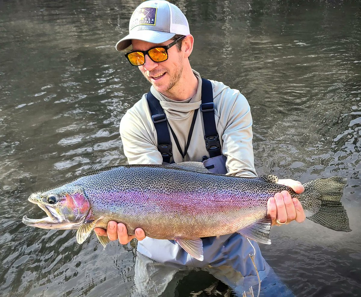 Jason Swingen (@jasonswingen) on Twitter photo 