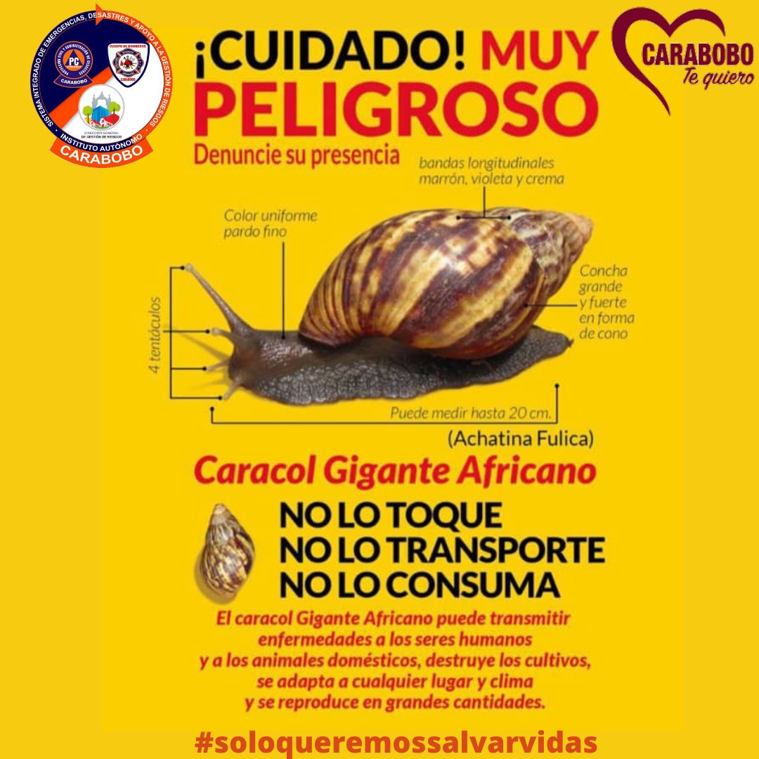 Alexis M Alvarado G tweet media