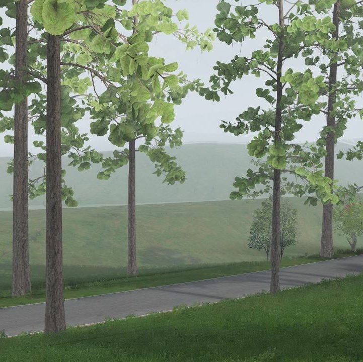 Pixelmonsterst1's tweet photo. Teak trees.

Creating 3d trees for assetto corsa. 
New 3d trees with CSP.

#teak #assettocorsa #simracing #kunos #gamedev #environmentartist #gaming #kerala #racing #videogame #vegetation #tree #plants https://t.co/OrJjMYjrIU