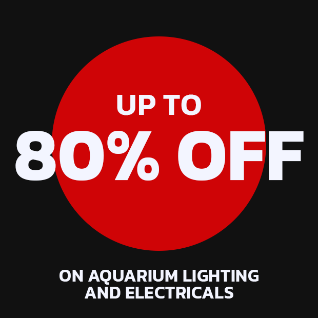 🚨UP TO 80% OFF🚨

Get up to 80% off aquarium lighting and electricals in our Black Friday Sale!💸  

bit.ly/3UNrDvQ