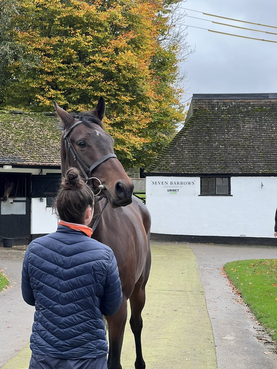 benters1808's tweet photo. Brilliant day with @OldGoldRacing and @mickfitzg at Seven Barrows with Nicky Henderson @sevenbarrows. Jemura looked amazing, can’t wait for him to get to full fitness and get racing. Thank you to everyone that organised today and to Nicky and his team 👏👏 https://t.co/yEE0RJQy0I