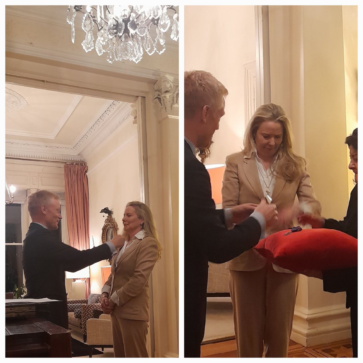 Great honour bestowed onto our #Adeffi @adeffimembre1 president #DervalConroy who was awarded the Chevalier des Palmes académiques title @AmopaIrlande by his Excellency @vincentguerend 
#amopa 
#Frenchstudies 
#ucd 
@UCD_Research