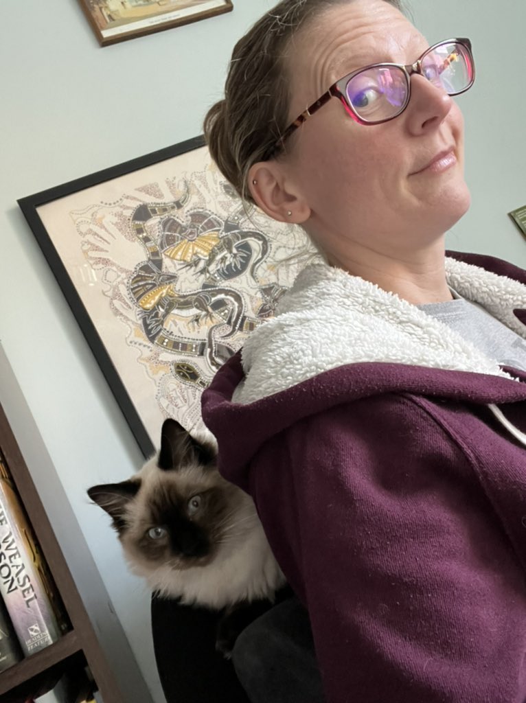 CatkinsMaverick's tweet photo. Yes folks am backs from my holibobs because my stoopid hooman is back from her ‘Romes’ whatever thats is! Will make her pays for at leasts 5 cat years! 😹 @EJM1978 #maverick #ragdollkitty #CatsofTwittter https://t.co/XMNx5ipqRV