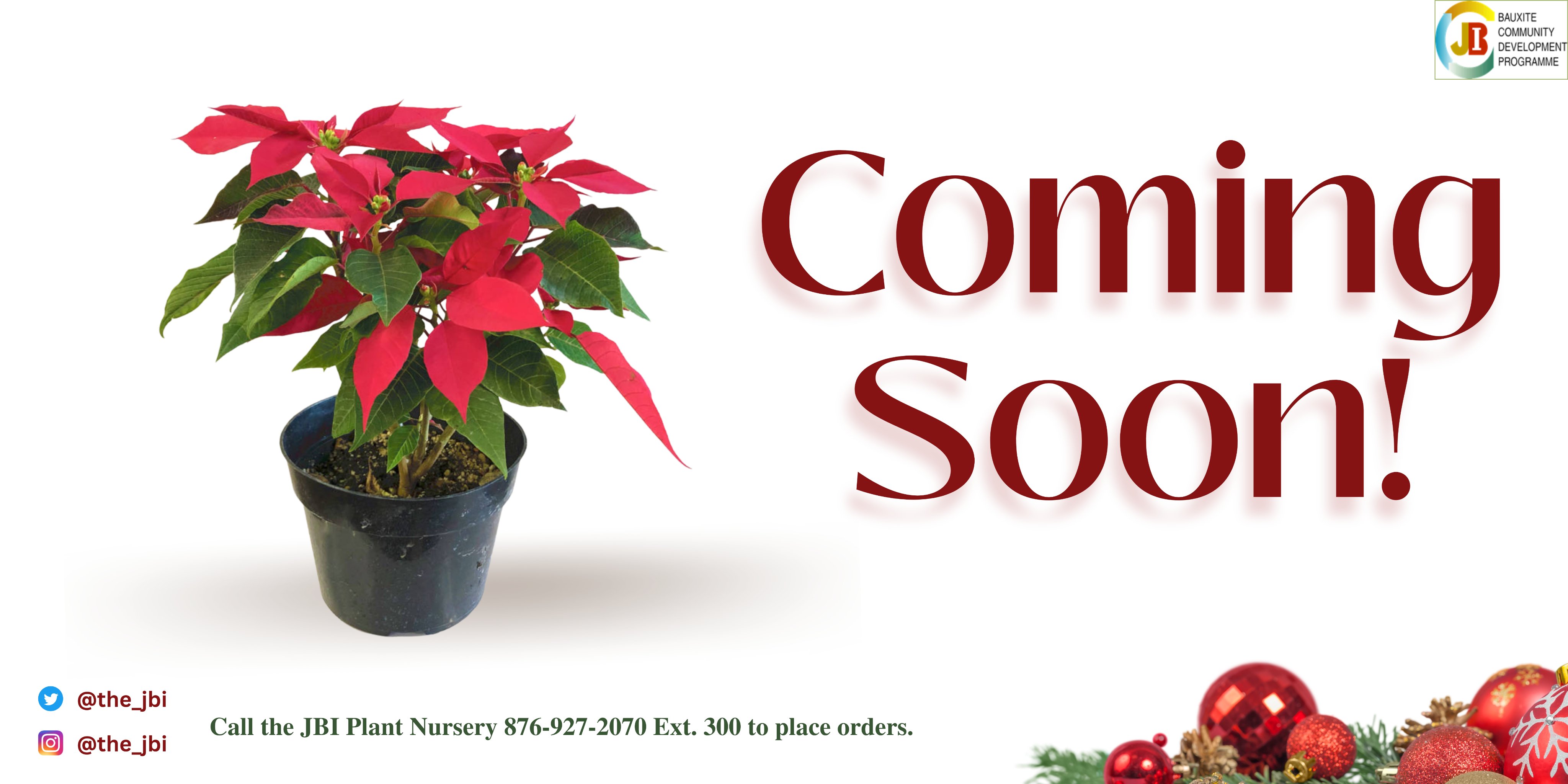 The Jamaica Bauxite Institute (the_jbi) / Twitter