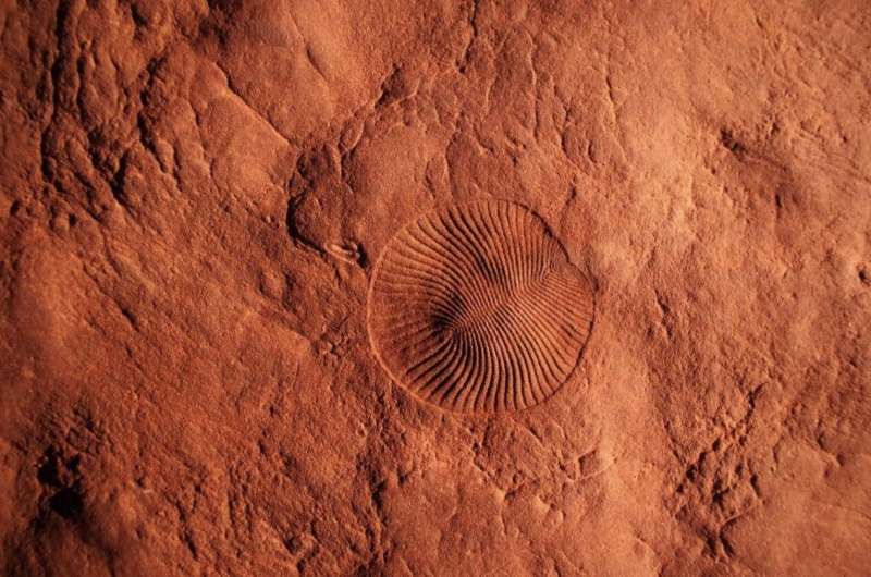 bibgeo's tweet photo. Read today's news about #Paleontology and #Paleoenvironments published in TELLUS https://t.co/49dZs4YSSC https://t.co/SBnYOWerGF