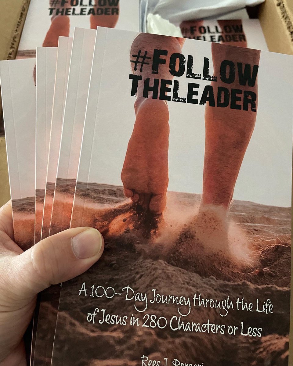 Rees Porcari tweet media