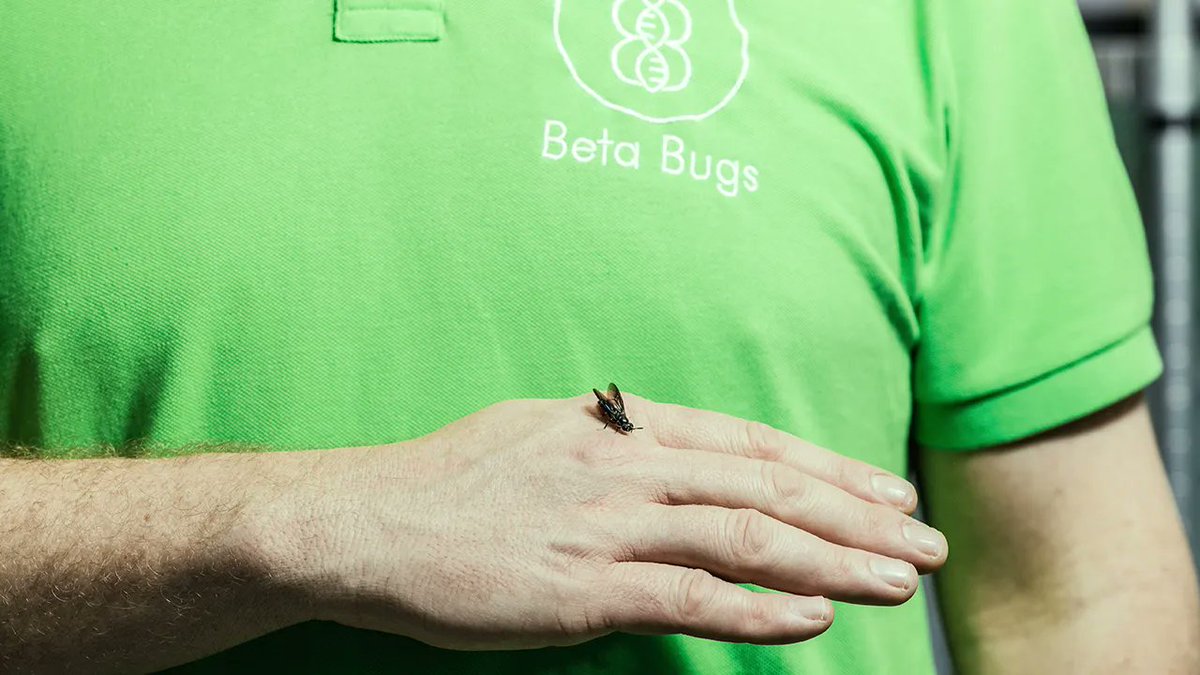 Beta Bugs are on the lookout for a Colony/Production Technician! 🦗🦟

If this sounds like the role for you, we're looking forward to hearing from you! 🙌🦗🦟✔

#newjob #newrole #freshstart #biotechnology #sciencejobs 

uk.indeed.com/viewjob?cmp=Be…
