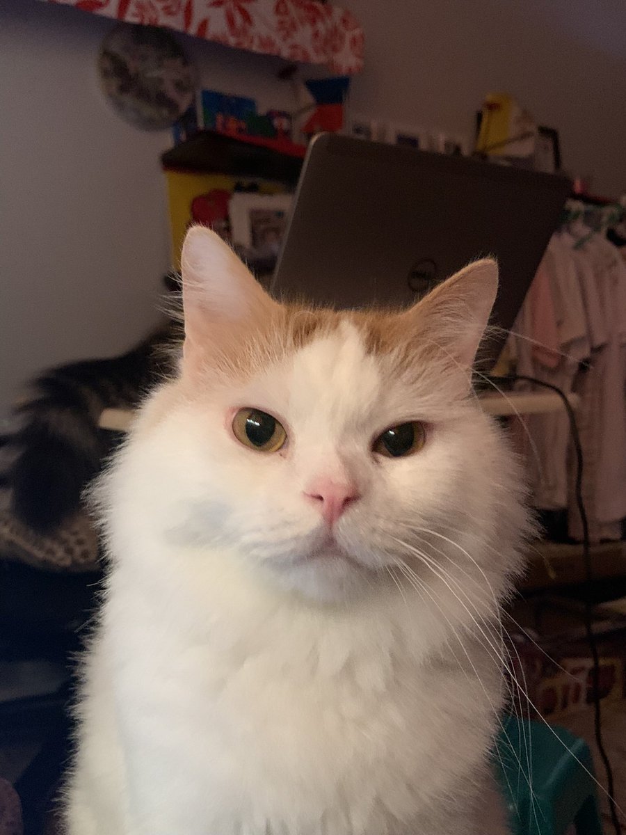 shmadealba's tweet photo. i miss my bbs :(( https://t.co/7g7lTeOKzZ