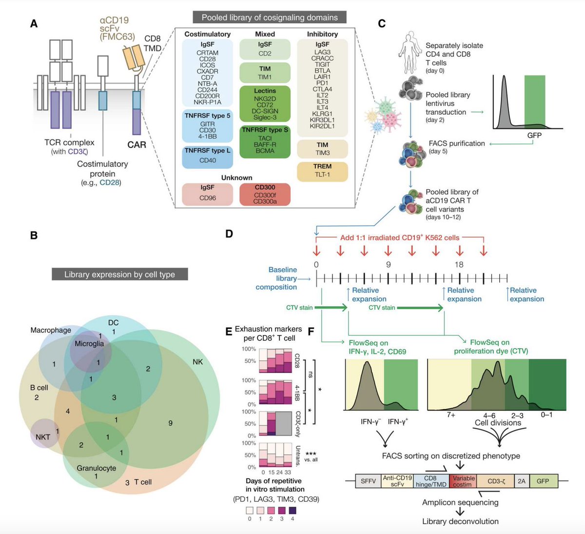 Science Translational Medicine (@sciencetm) on Twitter photo Presenting a new “CAR Pooling” technique, <a href="/dbgoodman/">Daniel Bryan Goodman</a>, <a href="/KoleRoybal/">Kole Roybal</a>, and co. comb through domains from various immune lineages to build new #CARTCell designs and identify several that boost anticancer efficacy against #MultipleMyeloma in mice. <a href="/parkerici/">Parker Institute for Cancer Immunotherapy</a> scim.ag/uM Presenting a new “CAR Pooling” technique, <a href="/dbgoodman/">Daniel Bryan Goodman</a>, <a href="/KoleRoybal/">Kole Roybal</a>, and co. comb through domains from various immune lineages to build new #CARTCell designs and identify several that boost anticancer efficacy against #MultipleMyeloma in mice. <a href="/parkerici/">Parker Institute for Cancer Immunotherapy</a> scim.ag/uM