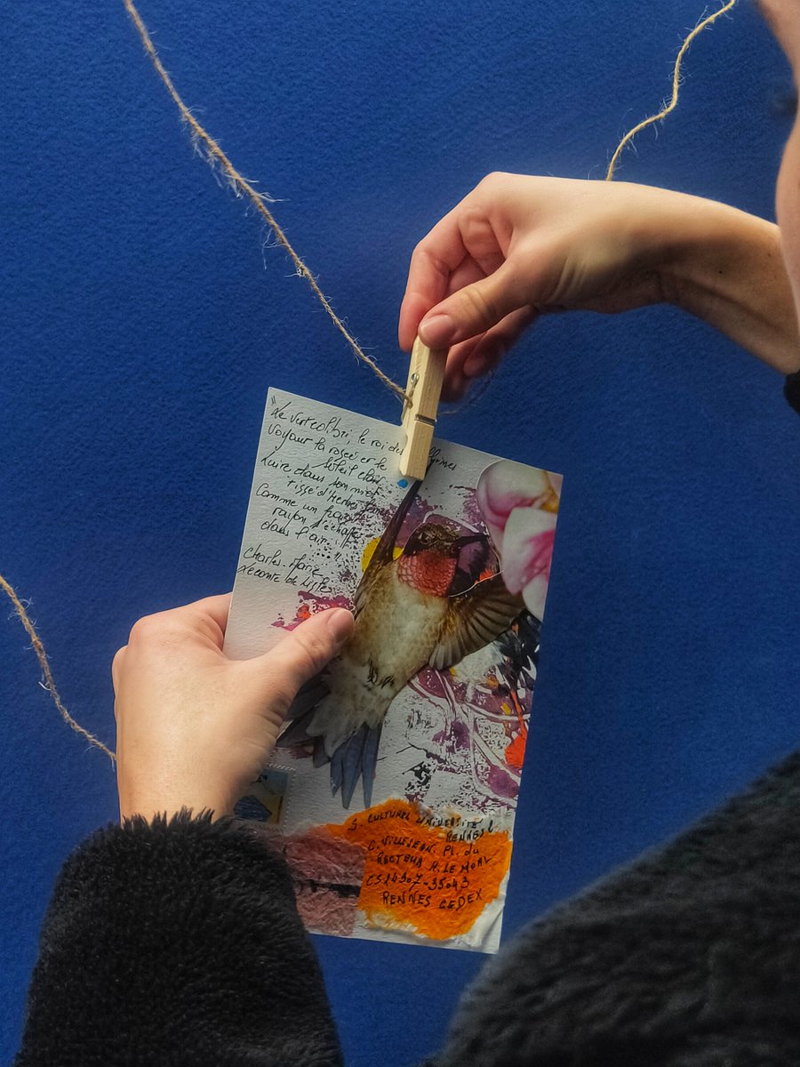 Hyperfictive's tweet image. Dans le cadre des Transversales, 12e édition, on a monté une exposition de cartes et d'art postal, et j'aime beaucoup trop le résultat ! L'expo est visible à @UnivRennes_2 sur la mezzanine du bâtiment O jusqu'au 2 décembre ☺️