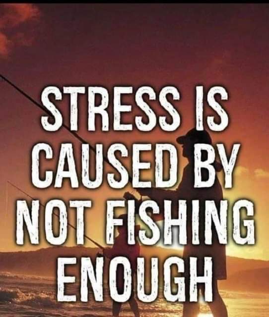 Andrew Wooster (@keepeducating) on Twitter photo 