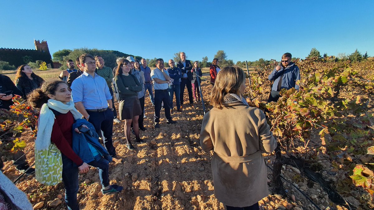 Newcotiana tweet media