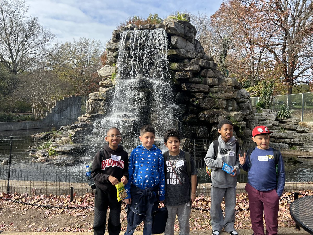 Virginia Tilitsky tweet media