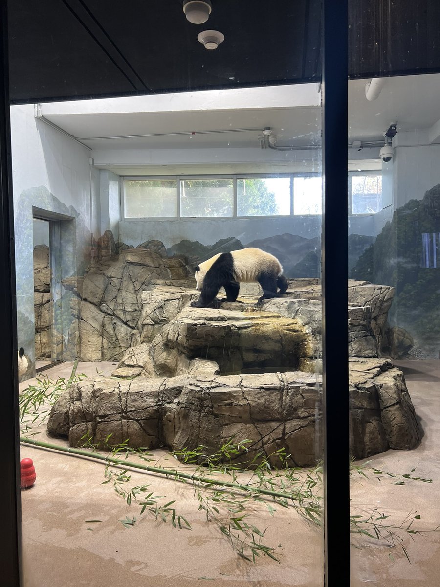 Virginia Tilitsky tweet media