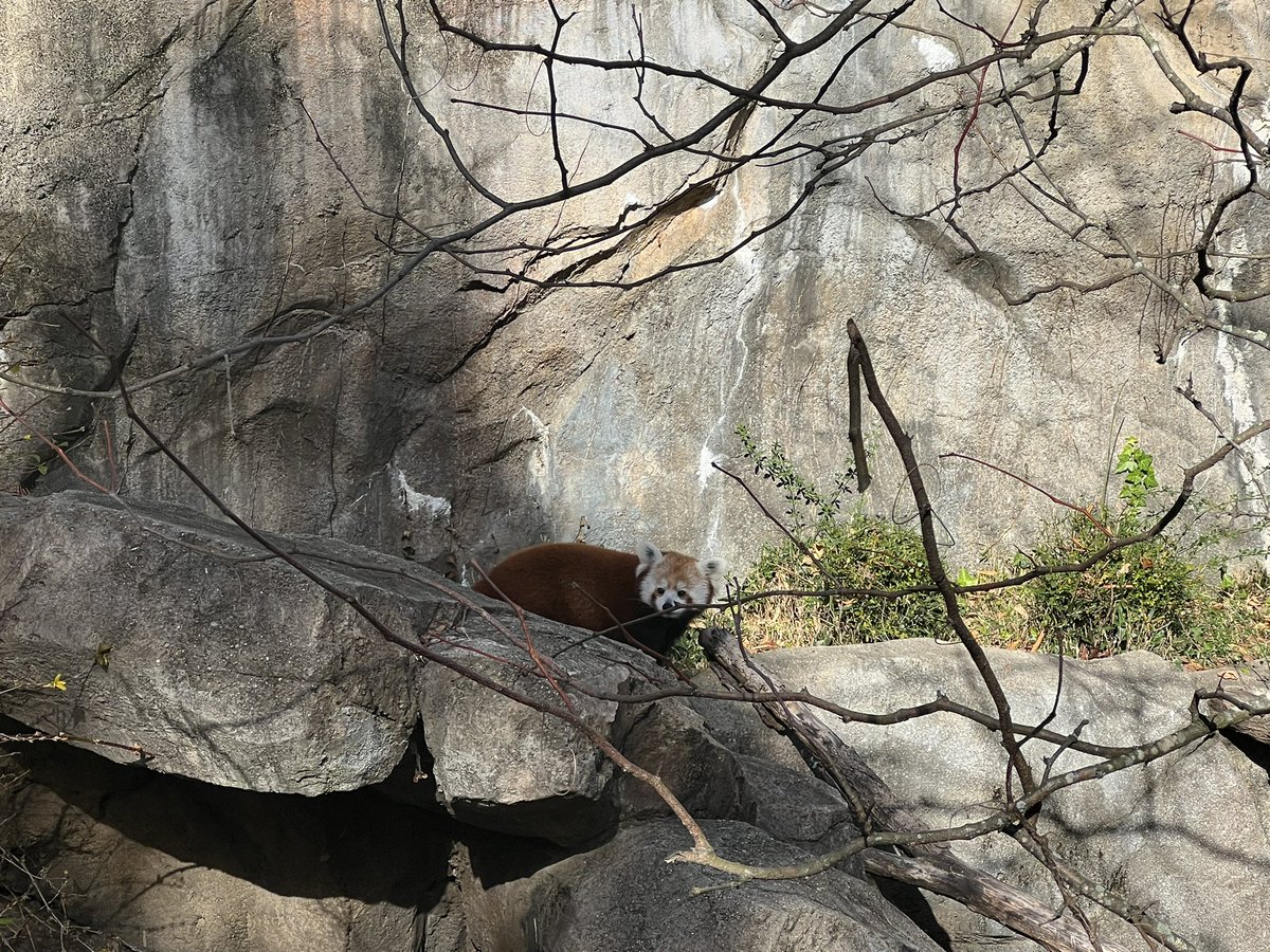 Virginia Tilitsky tweet media