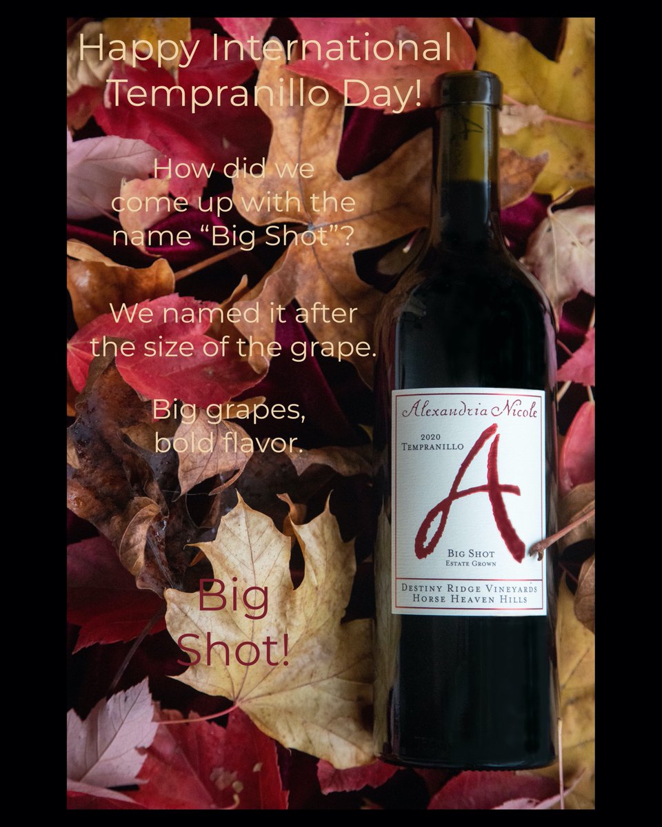 Happy #Internationaltempranilloday "Big Shot" is one of our newly released fall wines. Come in, taste and celebrate this Spanish favorite! 
ancwines.com 
#vino #RedWine  #tempranillo #woodinvillewinecountry #winetasting