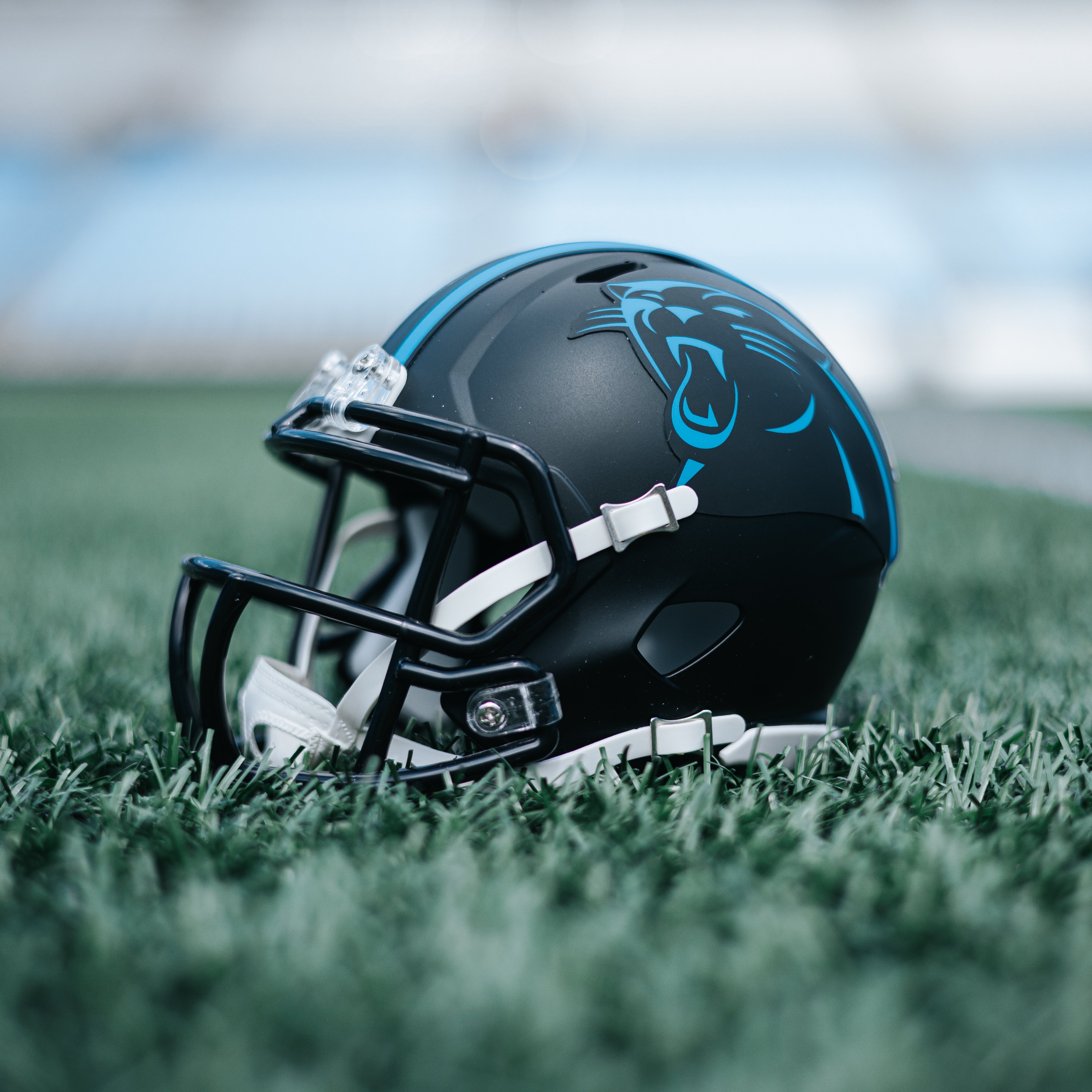 Carolina Panthers on X: 'RT for your chance to win a black mini helmet‼️   / X