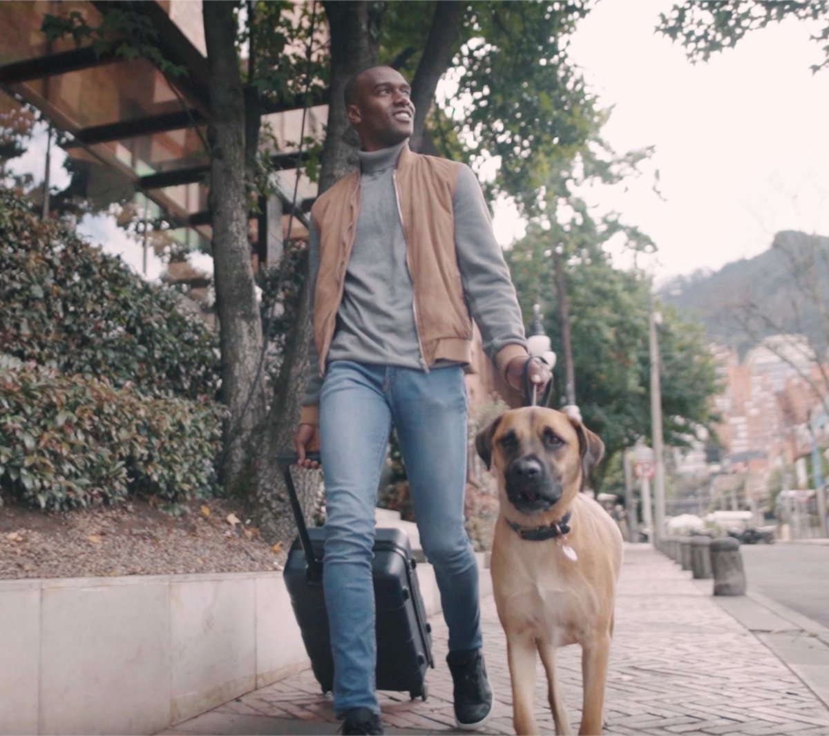 FSCasaMedina's tweet image. Everyone is welcome at #FSCasaMedina. Come and enjoy your stay with your best friend and live a luxurious experience for both of you. 🐶❤️ 
#FourSeasons #PetFriendly