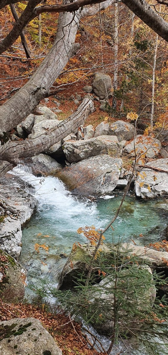 TurismoCastell's tweet photo. Rincones mágicos cerca de #Neril #puntopirineos
@aragonturismo @ribagorzaturism @DescubreHuesca https://t.co/Focccb7VIZ