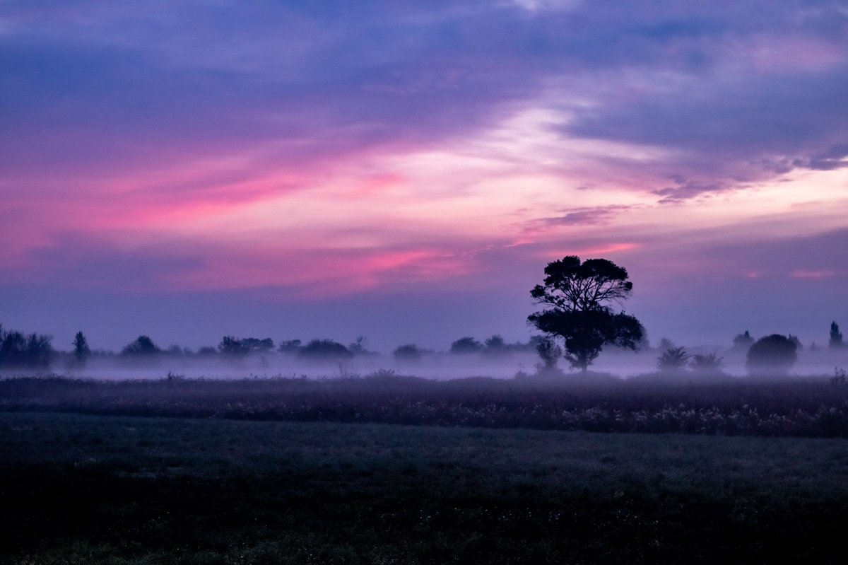 Paysage de Narbonne dans la brume matinale 

#narbonne #aude #cotedusud #occitanie #sudelafrance #brume #fog #nature #naturephotography #bluehour #sunrise #landscape #natgeo #natgeolandscape #natgeophotography #photo #photography #photographie #photographer #photooftheday #canon