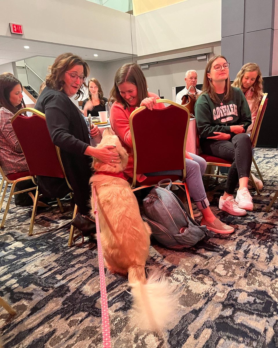 denulovesmath's tweet photo. Meg is making new friends today at the OMLA convention! So much fun! #omla2022 #facilitydog https://t.co/VweW7U47Co