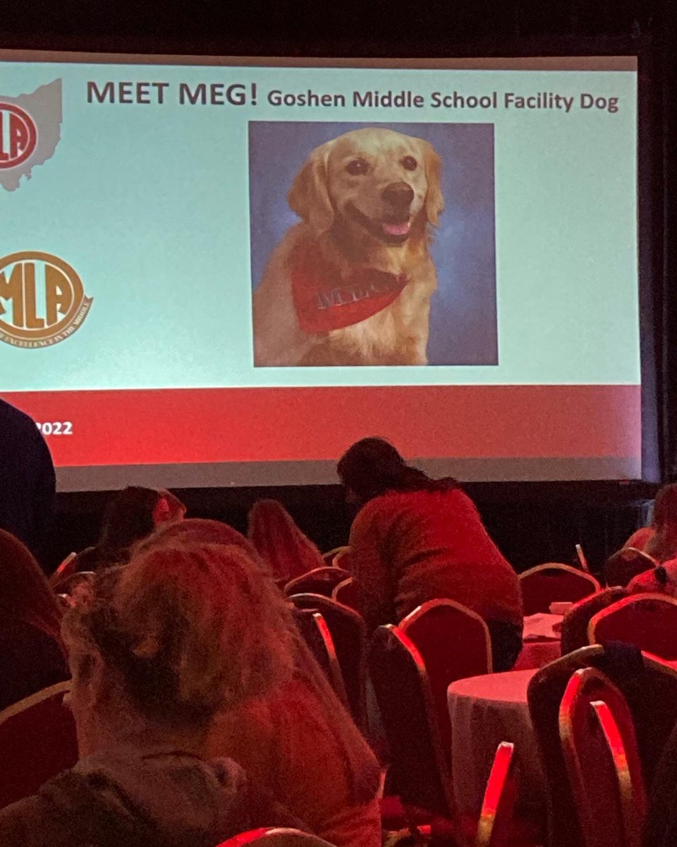 denulovesmath's tweet photo. Meg is making new friends today at the OMLA convention! So much fun! #omla2022 #facilitydog https://t.co/VweW7U47Co