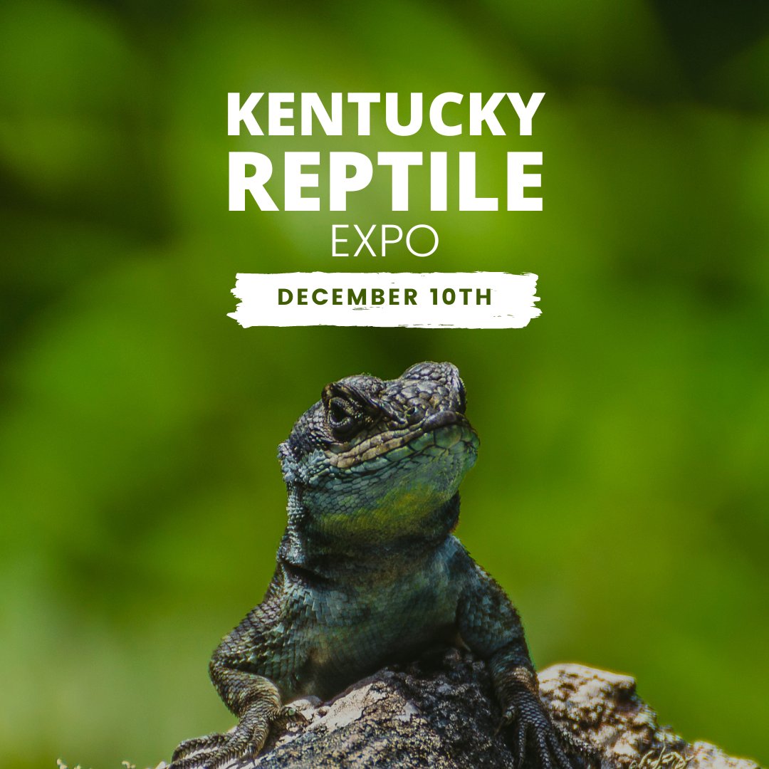 Central Bank Center on Twitter "The Kentucky Reptile Expo will return