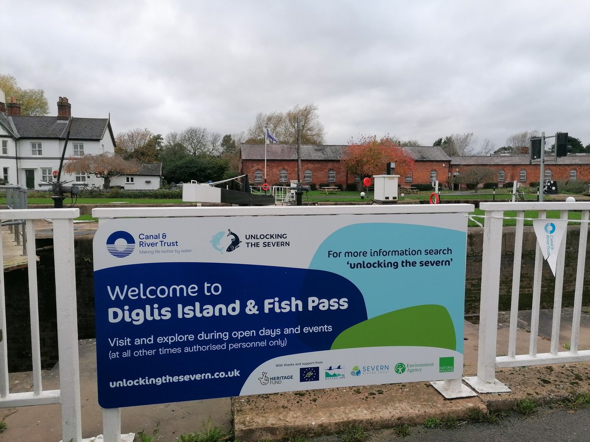 AliNaulls's tweet photo. From a brill online 'bit' of @theriverstrust Autumn Conference ys'day (👍@beccabodge) ace to get out with friends @SevernUnlocked @severnrivers  @Trent_R_Trust @aireriverstrust @  #DiglisFishWindow. 👍@corrinnespiller @CanalRiverTrust for As to Qs! A true window on conservation. https://t.co/7tiwi8ZGBB