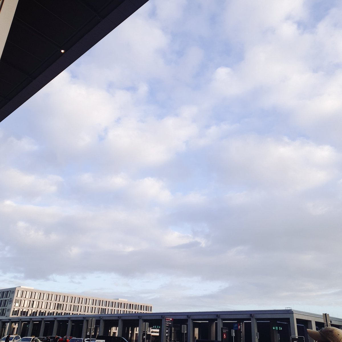 Festival tweet media