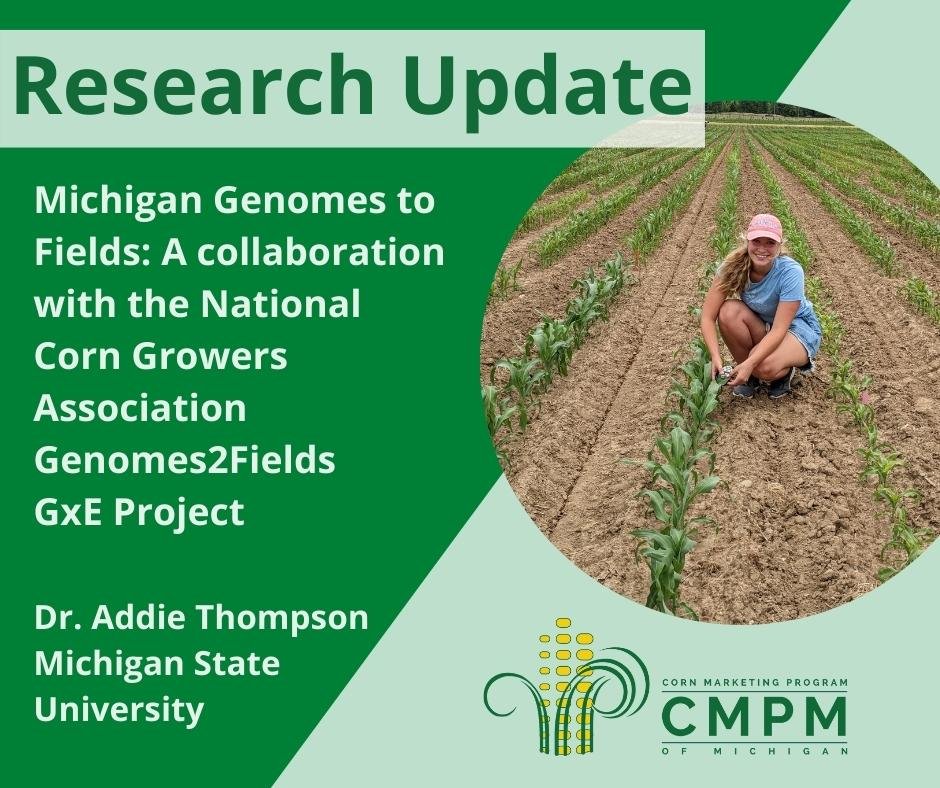 Michigan Corn (@mi_corn) on Twitter photo Research Update: Dr. Addie Thompson talks about Michigan Genomes to Fields: A collaboration with the <a href="/NationalCorn/">National Corn (NCGA)</a> Genomes2Fields GxE Project. bit.ly/3Eo7Qhv
Stay tuned for the CMPM annual research report in early 2023. <a href="/addie_maize/">Addie Thompson</a> #corn #research Research Update: Dr. Addie Thompson talks about Michigan Genomes to Fields: A collaboration with the <a href="/NationalCorn/">National Corn (NCGA)</a> Genomes2Fields GxE Project. bit.ly/3Eo7Qhv
Stay tuned for the CMPM annual research report in early 2023. <a href="/addie_maize/">Addie Thompson</a> #corn #research