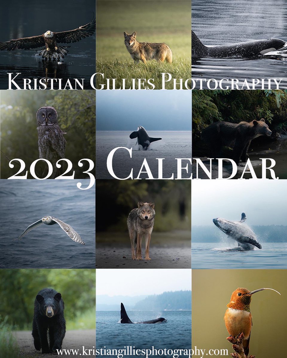 2023 calendars are moving quick.
Get yours here - kristiangilliesphotography.com/calendars/p/st…