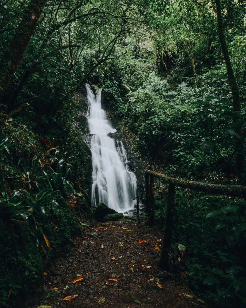 At the end of every journey, there's something special to be found. 📍: Costa Rica 📷 : _popite