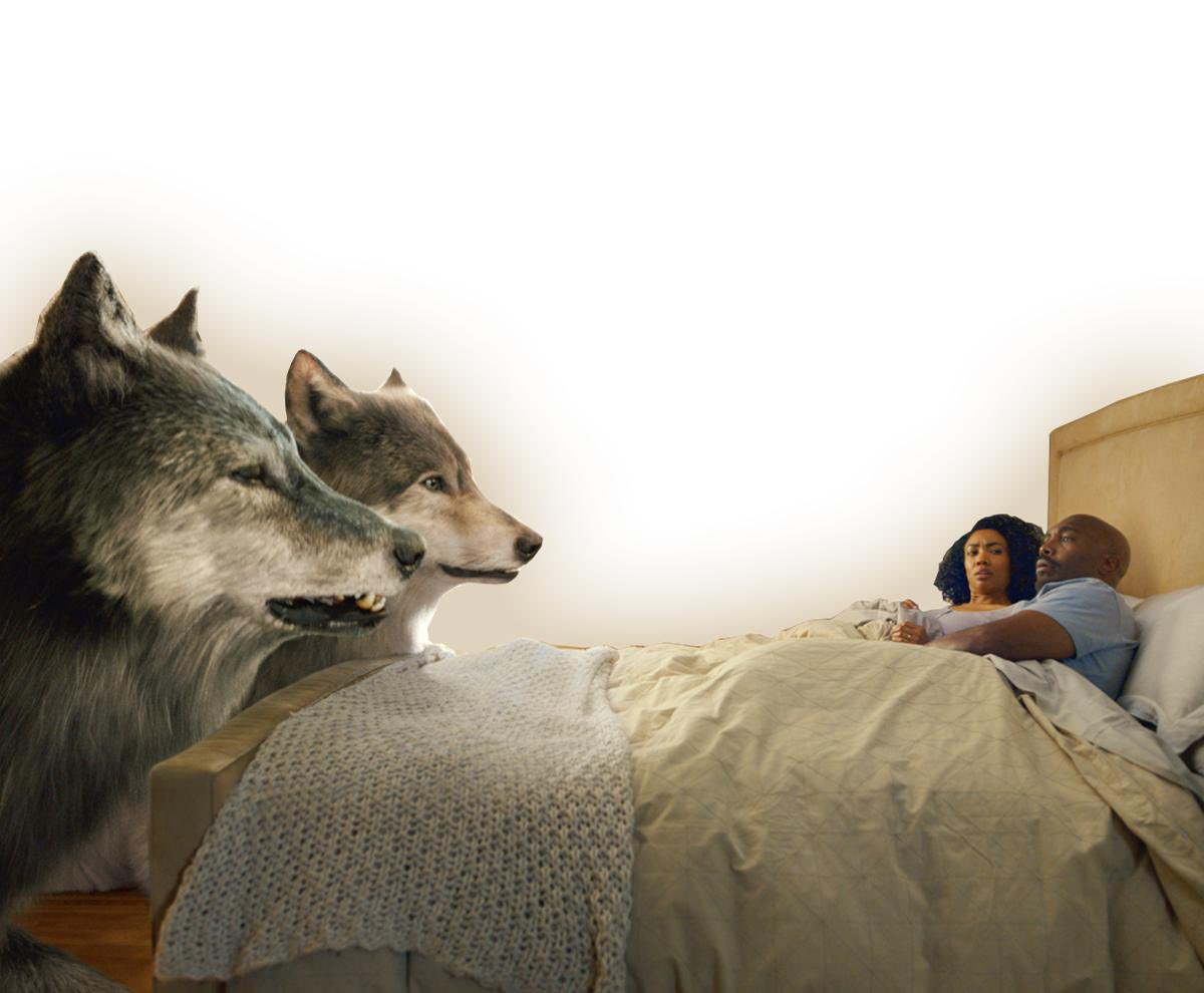 Great Wolf Lodge tweet media