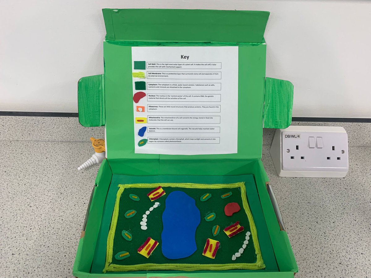 LRGSBiology's tweet photo. Lovely to see the creative #modelcells from our Year 7 cohort #cells 🦠 #reducereuserecycle ♻️ @RoyalSocBio @LRGSLancaster https://t.co/CyPQw7kZi7