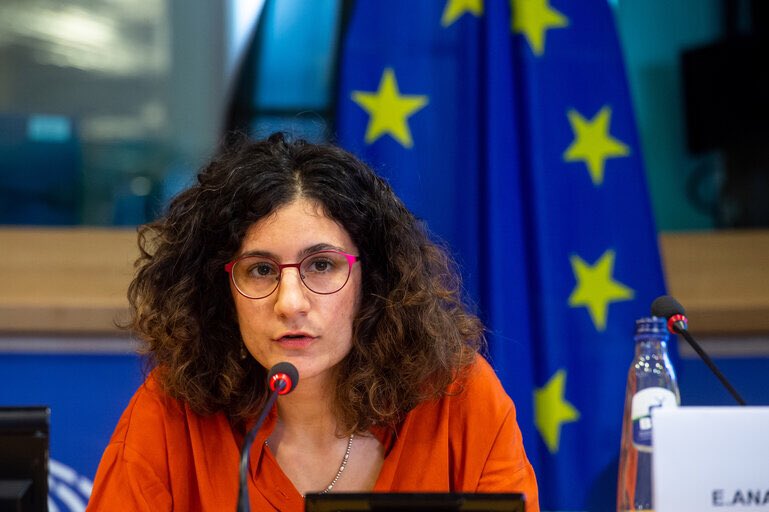latempestacc's tweet photo. Elena Ananiadou from @latempestacc moderated the digital tools roundtable in the EU Parliament during the @So_close_eu final event. Proud of you Elena ✨👏🏻👏🏻
#DCH #webdevelopment #migration #tools #wedoc #storymap #virtualexhibition https://t.co/iiqRwkNwPX