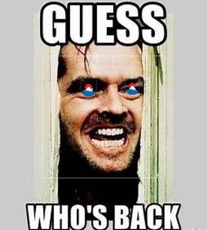 DigitalUmi's tweet photo. Its time 🕒🔁
The 🐈‍⬛ is out the 👜

#rebrand #newbegging #fullcircle #buildingonsora https://t.co/IzUAyOMHvY