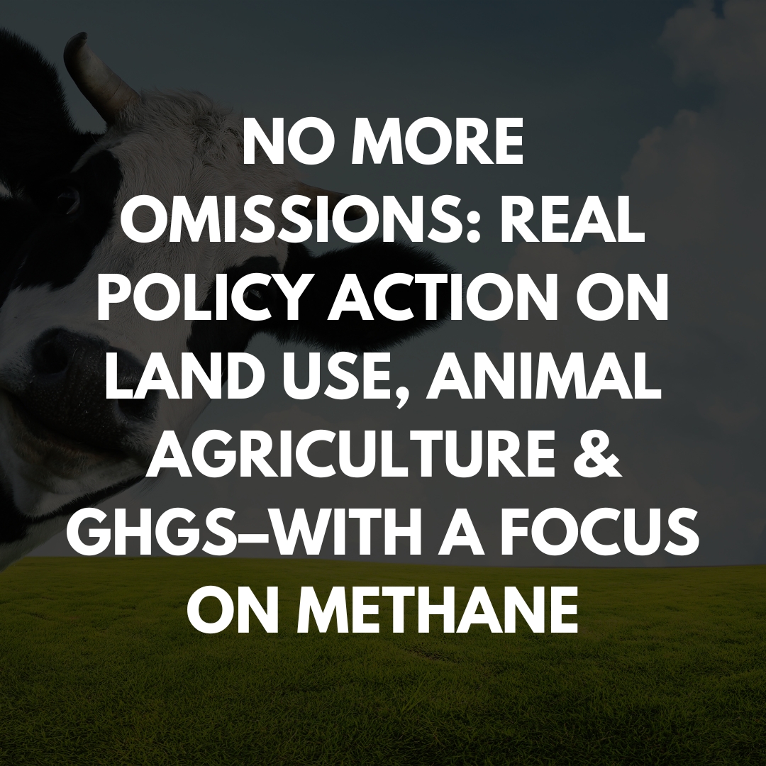 Omitting animal agriculture’s methane emissions from the discussions at #COP27 is a fatal mistake for the planet. Join us for a discussion on land use, animal agriculture, and greenhouse gas emissions.

Friday, November 11 at 2:30PM (EET).
Live stream: youtube.com/channel/UCpf8z…