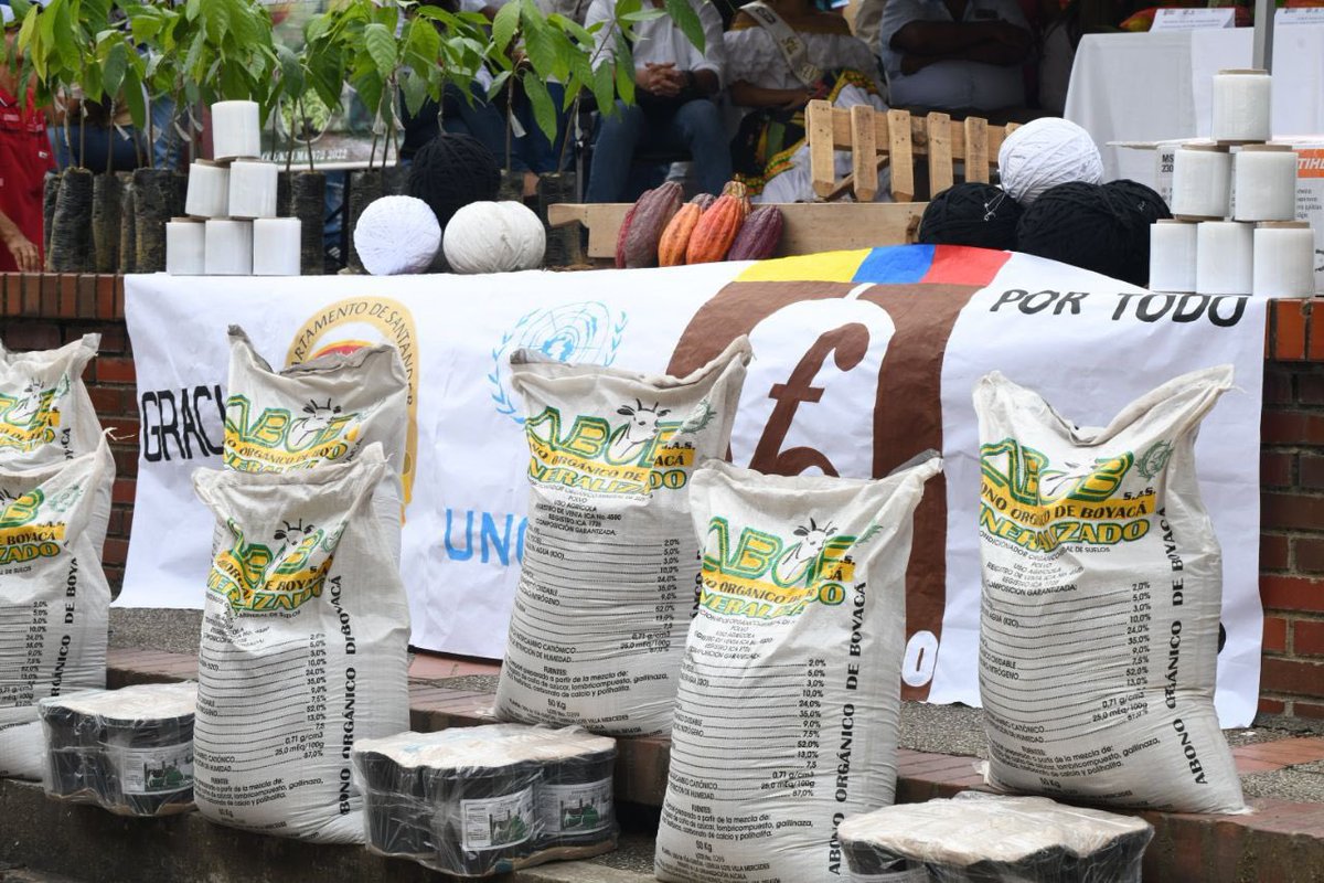 MAguilarHurtado's tweet image. ¡Le apostamos a mejorar la producción del cacao santandereano! Ya son 970 familias beneficiadas con la renovación de cultivos y nuevas plantaciones. Por eso, hoy en #Rionegro entregamos a 150 agricultores insumos para seguir impulsando a nuestros pequeños productores.