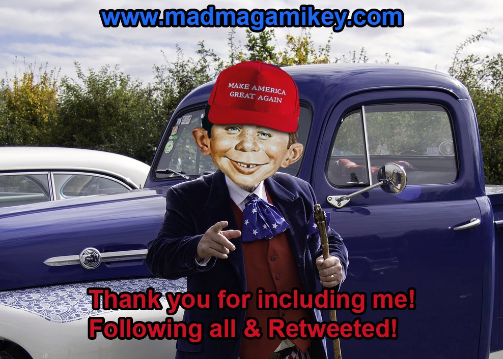 🍊Mad MAGA Mikey Its 1776 Again!🍊 tweet media