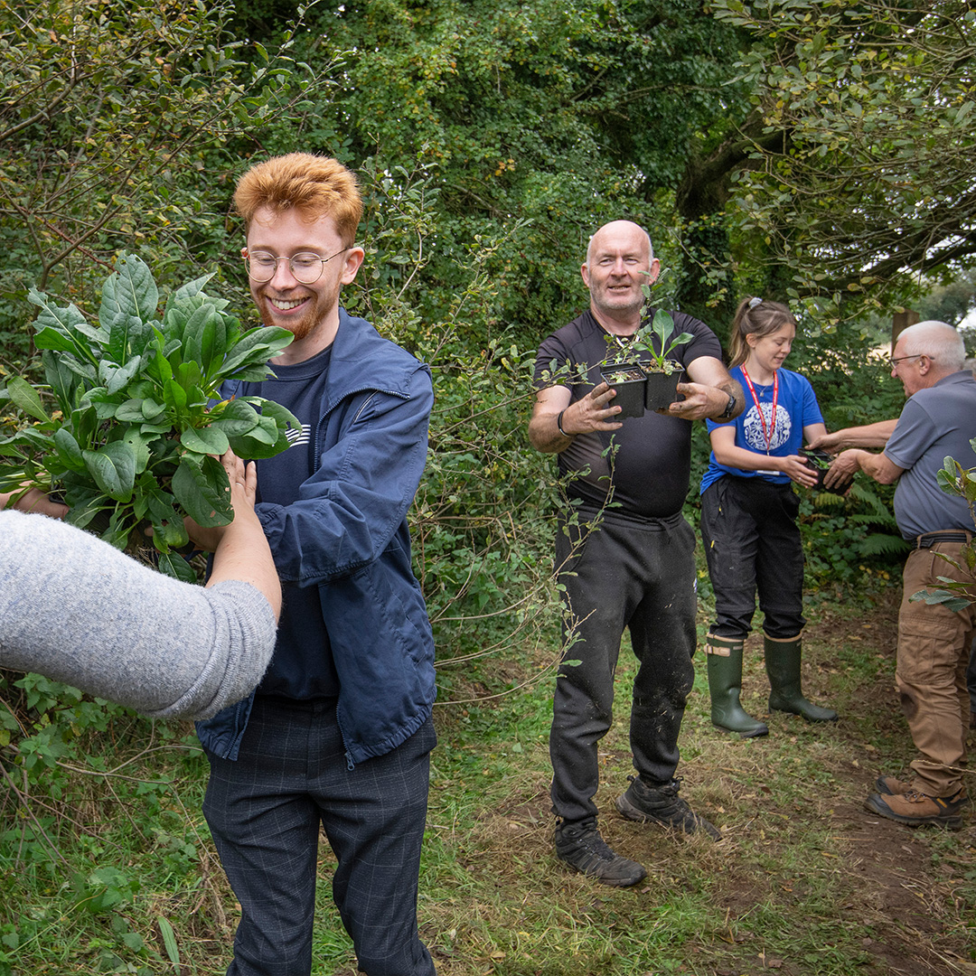Eden Project (@edenproject) on Twitter photo To tackle habitat loss for the threatened marsh fritillary butterfly, military veterans from <a href="/defencegardens1/">The Defence Gardens Scheme CIC</a> have been planting hundreds of devil’s-bit scabious in our Outer Estate 🦋🌱 To tackle habitat loss for the threatened marsh fritillary butterfly, military veterans from <a href="/defencegardens1/">The Defence Gardens Scheme CIC</a> have been planting hundreds of devil’s-bit scabious in our Outer Estate 🦋🌱