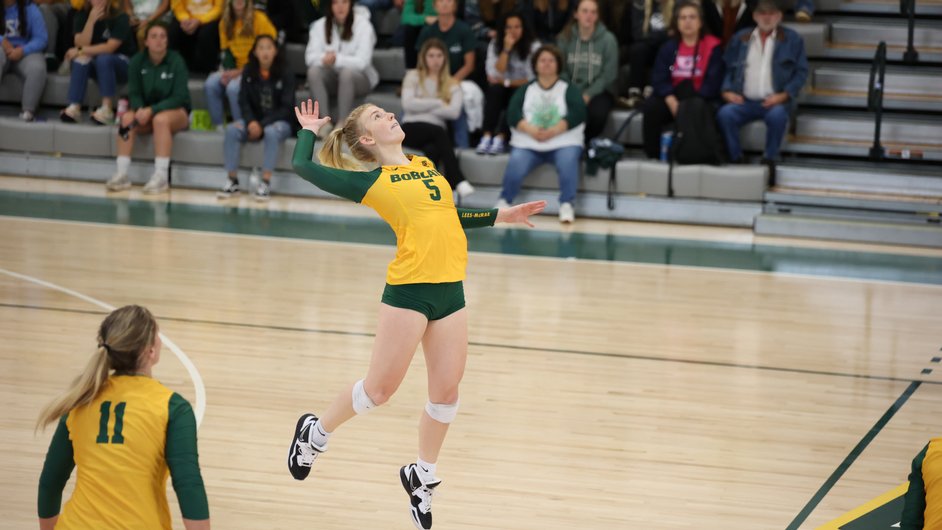 Lees-McRae Athletics tweet media