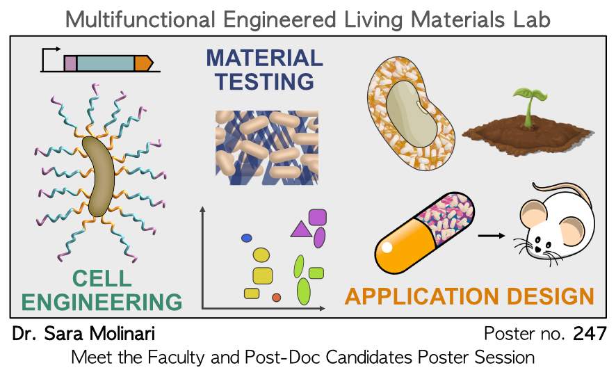 Hello! I'm a faculty candidate this year and I will be at #AIChE2022 presenting my work on multifunctional engineered living materials. Come to learn more about my future research! @ChEnected 

When: Sunday, November 13, 2022, 1-3 PM