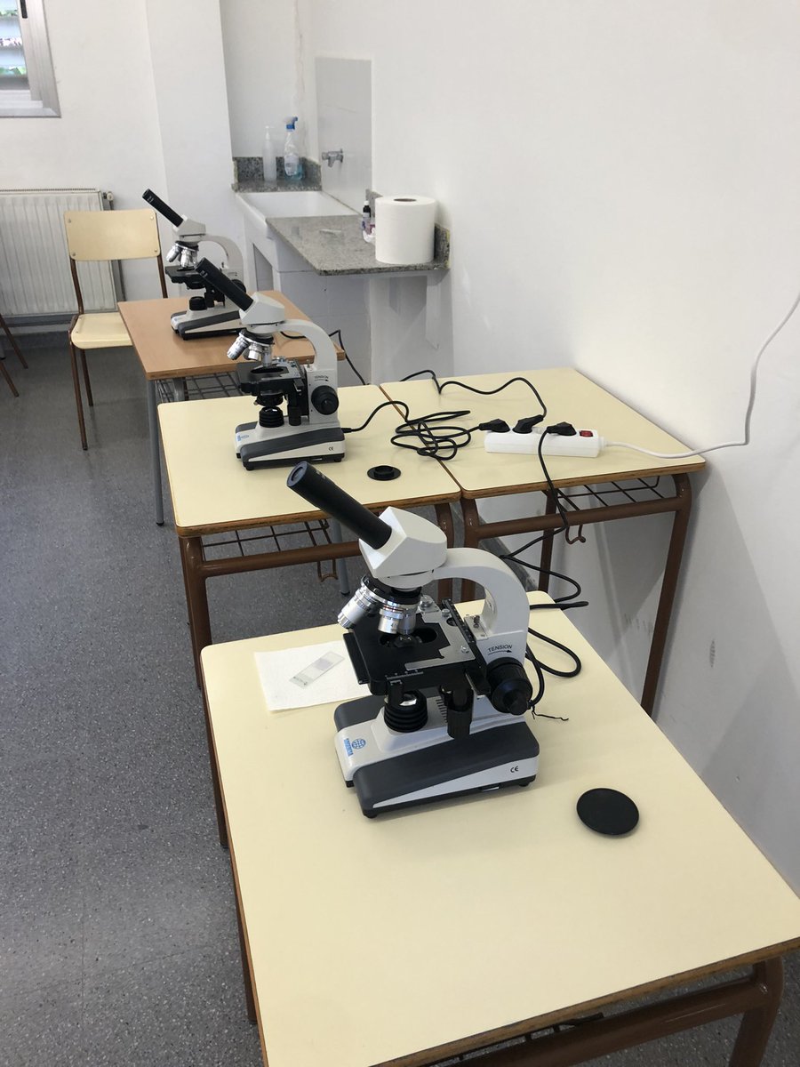 Pràctiques amb microscopi amb GES 1. Ha agradat. #fpa #formaciodaults #elsadultsfancoses