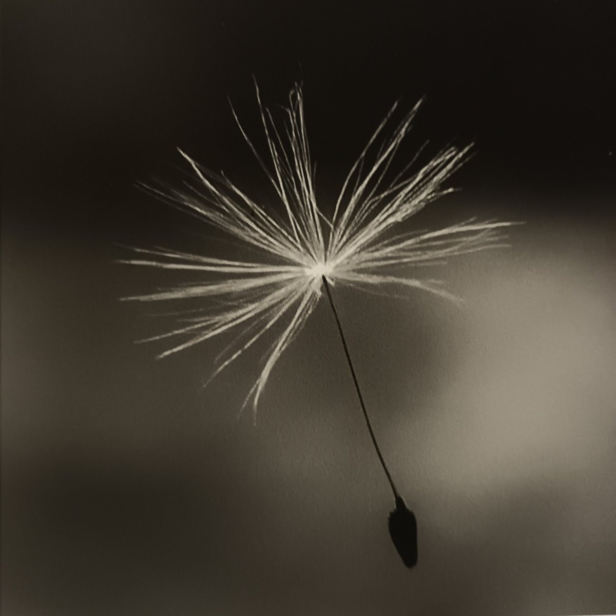 NJMIdeas's tweet photo. fragments and glimpses of #NJMFreedom We're so appreciative of the fantastic images offered to this free open call #exhibition  Thank you 💛Can't wait to hear who is awarded the residency with £1,000 @canadawharf @pinkonero @chevy_jordan #LetsCreate #photography https://t.co/eDghCZjQqT