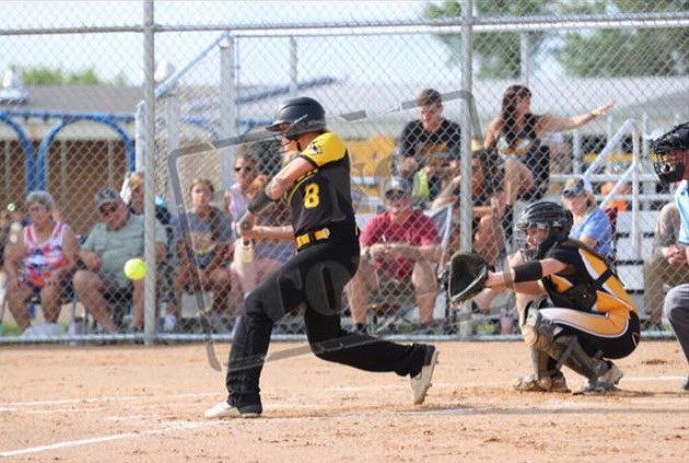 Tipton Softball tweet media