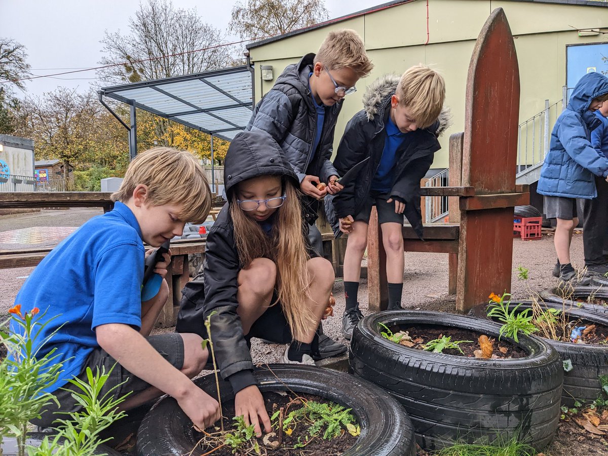 thedellschool's tweet photo. Y5 have got stuck in updating their micro gardens with bulbs @Bulbs4Kids_UK, ready for spring time. We can't wait to see them grow! 🌷
#healthyconfidentindividuals https://t.co/xPYELvR2iz