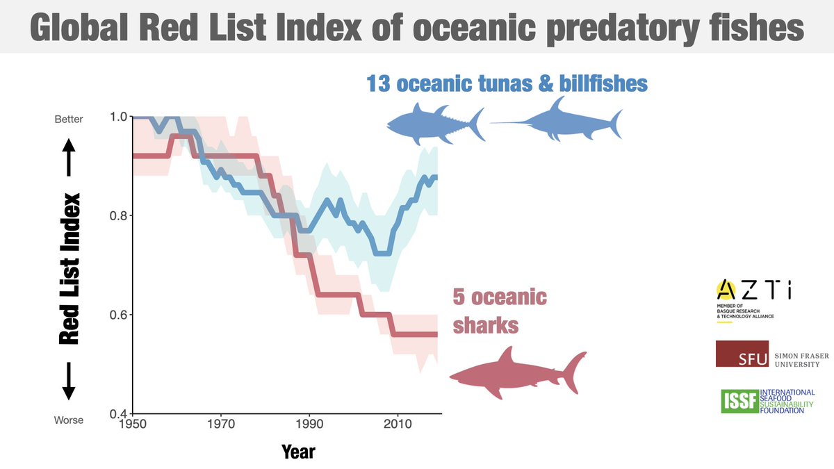 New #RedListIndex analysis in <a href="/ScienceMagazine/">Science Magazine</a> finds that after 60 years of increasing #extinctionrisk, effective fisheries management has recovered tunas &amp; billfishes.
➡️Yet extinction risk continues to increase for undermanaged sharks.
👉🏼Full 📑 bit.ly/3Ei5mkH
🧵 1/5