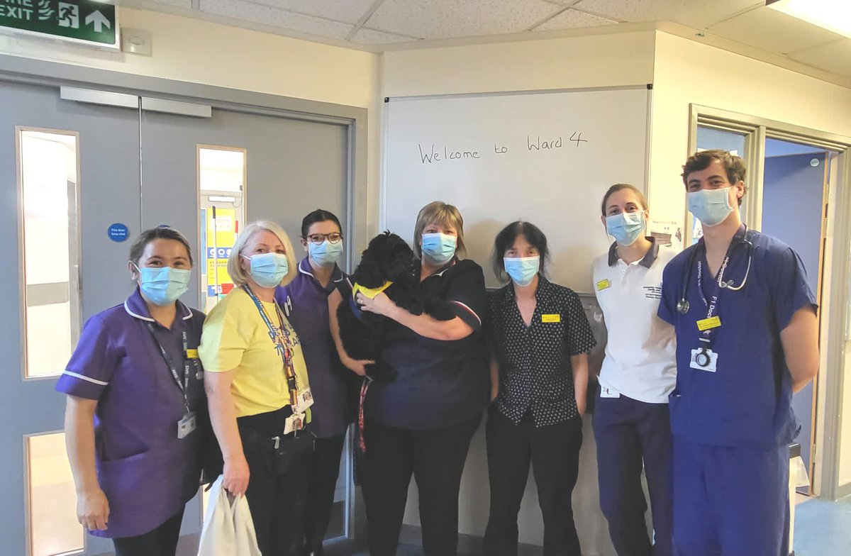 Nicky Brock tweet media