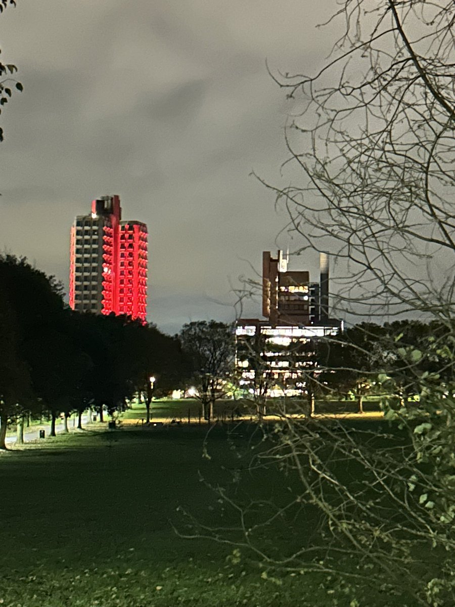 Attenborough Tower this evening #RemembranceDay @uniofleicester @LeicesterCSSAH